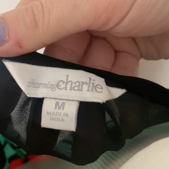 Charming Charlie Striped Colorblock Top - Picture 4 of 5